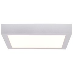 Outdoor LED Flush Mount