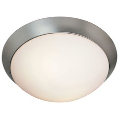 Flush Mount in Brushed Steel Color