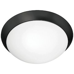Flush Mount in Matte Black Color
