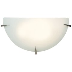 1 Light Wall Sconce