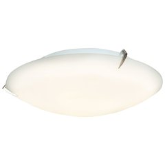 LED Flush Mount in Brushed Steel Color