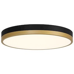 LED Flush Mount in Black with Antique Brushed Brass Color