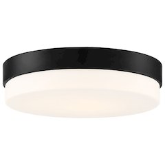 LED Flush Mount in Matte Black Color