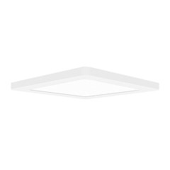 LED Flush Mount