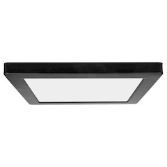 Dual Voltage LED Flush Mount in Black Color
