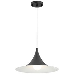 LED Pendant in Matte Black Color