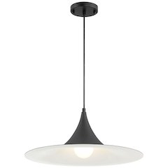 LED Pendant in Matte Black Color