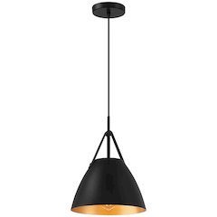 1 Light Pendant in Matte Black Color