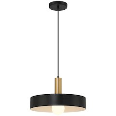 1 Light Pendant in Black with Antique Brushed Brass Color