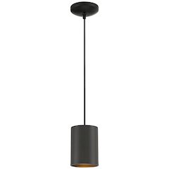 LED Pendant in Matte Black Color