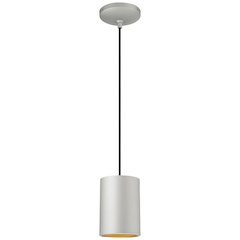 LED Pendant in Satin Color