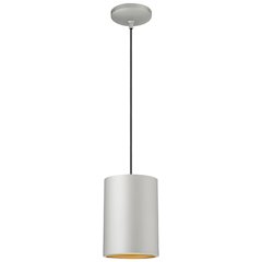 LED Pendant in Satin Color