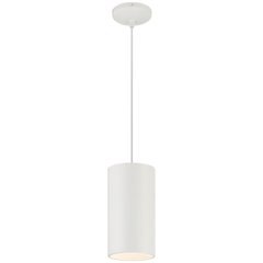 Pendant in Matte White Color