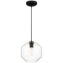 LED Pendant in Black Color