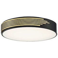 LED Flush Mount in Black Color