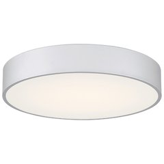 LED Flush Mount in Satin Color