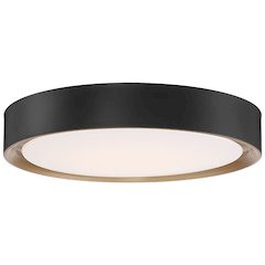 LED Flush Mount in Matte Black Color