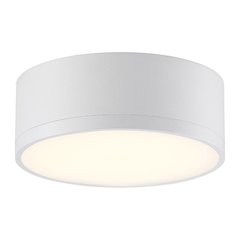 Dual Voltage LED Flush Mount in White Color