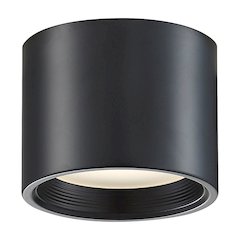 Dual Voltage LED Flush Mount in Black Color