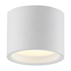 Dual Voltage LED Flush Mount in White Color
