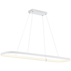 Dual Voltage LED Pendant