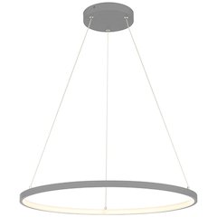 Dual Voltage LED Pendant in Gray Color