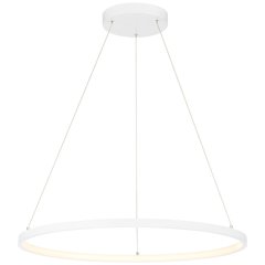 Dual Voltage LED Pendant in Matte White Color