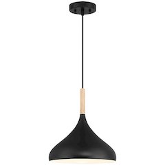 1 Light Pendant in Black Color