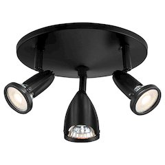 3 Light Adjustable LED Flush Mount in Black Color