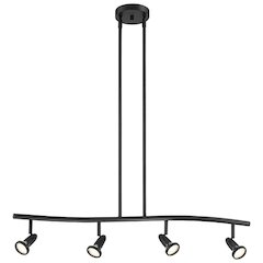 4 Light Adjustable LED Pendant or Semi-Flush in Black Color