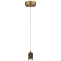 LED Pendant in Antique Brushed Brass Color