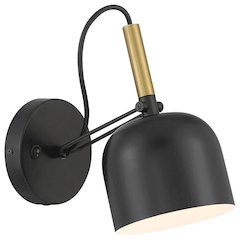 LED Reading Light in Black with Antique Brushed Brass Color
