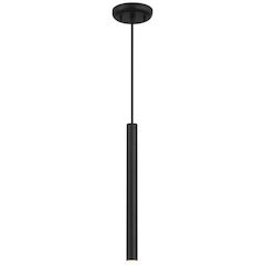 LED Pendant in Matte Black Color