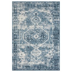 Lanham Durable Performance Area Rug Indoor in Blue/Ivory, 5' x 7'