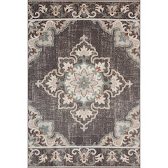 Durable Performance Area Rug Outdoor in Brown/Multicolored, 7'9" x 9'9"