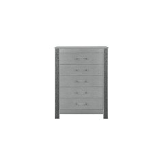 Logan Silver Chest