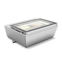 31 in. Countertop Ice Cream Display case