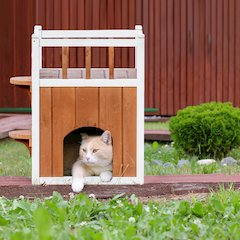 Wholesale Cat House with Balcony