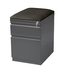 Hirsh 20 inch Deep Mobile Pedestal File Cabinet 2 Drawer Box-File Charcoal/Black