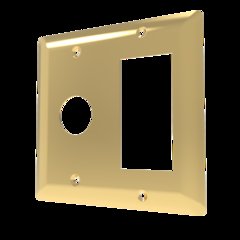 Amba Double Gang Plate in Polished Gold