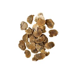 Bag Of 48 Dried Sponge Mushrooms