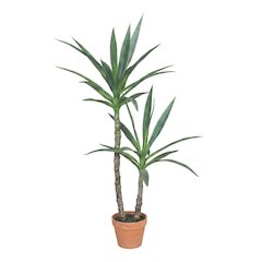 Artificial Heneken Plant With Faux Terracotta Pot