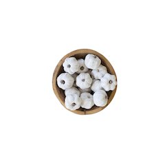 Bag Of Fifteen Dried Miniature Faux Pumpkins - White