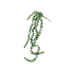 Artificial Necklace Fern Succulent