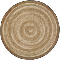 Kid Essentials STEAM 13'2" Round Area Rug in Color Engineering