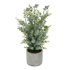Artificial Boxwood In A Cement Pot