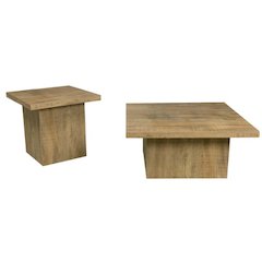 Devar 2-piece Square Coffee and End Table Set Mango