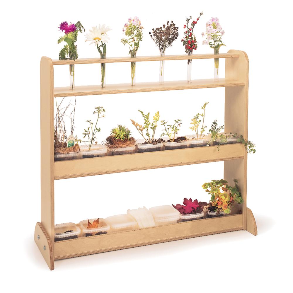Nature Shelf. Picture 1