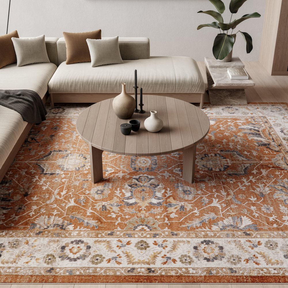 Nourison Home Astra Machine Washable Area Rug. Picture 9
