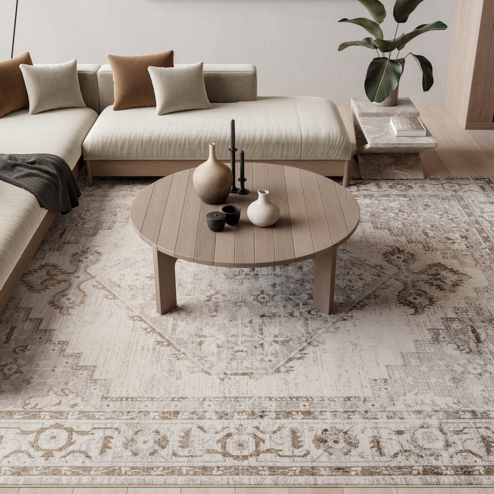 Nourison Home Astra Machine Washable Area Rug. Picture 9